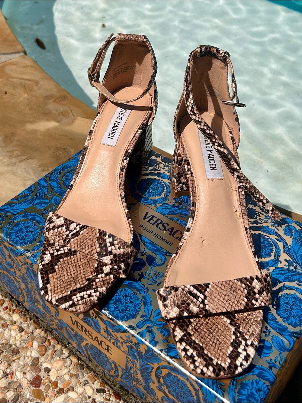Steve Madden Marisa Brown Snake-Print Ankle Strap Block Heels